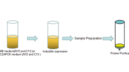 Preparation of N15 and C13 labeled recombinant protein