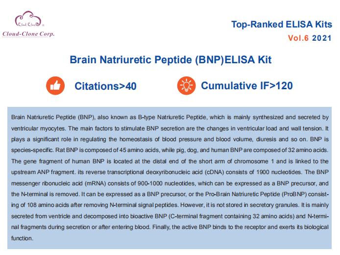 Top-Ranked ELISA Kits (Brain Natriuretic Peptide BNP). Vol.6 (2019)