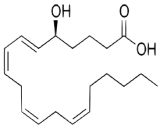 5-Hydroxyeicosatetraenoic Acid (5-HETE)