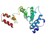 Amyloid Beta Precursor Protein Binding Protein 2 (APPBP2)