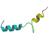 Calcitonin Gene Related Peptide (CGRP)
