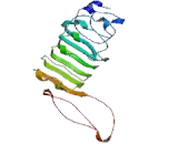 Centrosomal Protein 110kDa (CEP110)