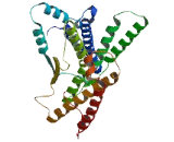 Centrosomal Protein 295kDa (CEP295)