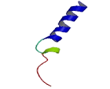 Chemokine C-X-C-Motif Receptor 7 (CXCR7)