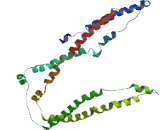 Coiled Coil Domain Containing Protein 172 (CCD<b>C172</b>)