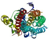 Coiled Coil Domain Containing Protein 174 (CCDC174)