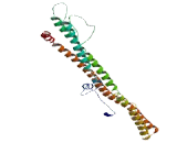 Coiled Coil Domain Containing Protein 105 (CCDC105)