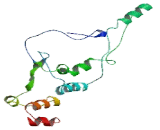 Coiled Coil Domain Containing Protein 110 (CCD<b>C110</b>)