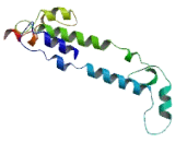 Coiled Coil Domain Containing Protein 122 (CCD<b>C122</b>)