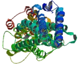 Coiled Coil Domain Containing Protein 148 (CCD<b>C148</b>)