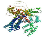 Coiled Coil Domain Containing Protein 158 (CCDC158)