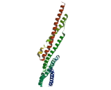 Coiled Coil Domain Containing Protein 166 (CCD<b>C166</b>)