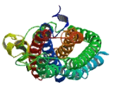 Coiled Coil Domain Containing Protein 183 (CCD<b>C183</b>)