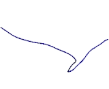 Collagen Type VII (COL7)