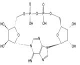 Cyclic Adenosine Diphosphate Ribose (cADPR)