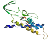 Cytochrome P450 Family 21 Subfamily A Member 2 (CYP21A2)