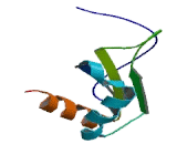 Developmentally Regulated RNA Binding Protein 1 (DRB1)