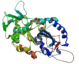 Endoplasmic Reticulum Protein 44 (ERP44)