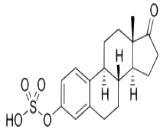 Estrone Sulfate (E1S)