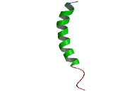 G Protein Coupled Estrogen Receptor 1 (GPER)