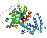 G Protein Coupled Receptor Kinase 5 (GRK5)