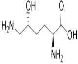 Hydroxylysine (Hyl)