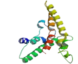 Immunoglobulin Binding Protein 1 (IGBP1)