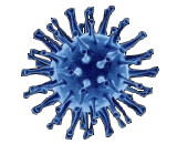 Influenza A Virus Subtype H5N1 (H5N1)
