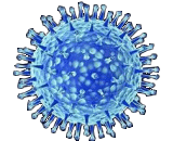 Influenza A Virus Subtype H7N9 (H7N9)