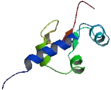 La Ribonucleoprotein Domain Family, Member 7 (LARP7)