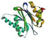 Proteasome subunit beta type-9 (PSMB9)