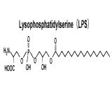 Lysophosphatidylserine (LPS)