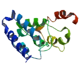 Microfibrillar Associated Protein 2 (MFAP2)