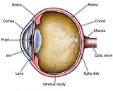 Ocular Hypotension (OH)