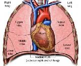 Pulmonary Edema (PE)