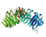 NACHT And WD Repeat Domain Containing Protein 2 (NWD2)