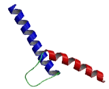 Oligodendrocyte Lineage Transcription Factor 2 (OLIG2)