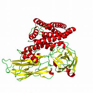 133 kDa Crystal Protein (Cry1Ac)