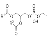 Phosphatidylethanol (PEth)