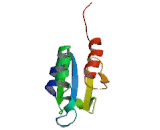 Protein Disulfide Isomerase A6 (PDIA6)