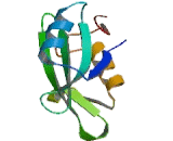 Protein Tyrosine Kinase 6 (PTK6)