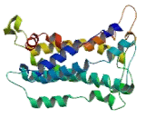 Purinergic Receptor P2Y, G Protein Coupled 1 (P2RY1)