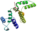 RalA Binding Protein 1 (RALBP1)