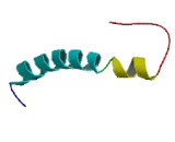 Small Integral Membrane Protein 10 (SMIM10)