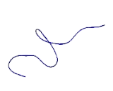 Synaptopodin (SYNPO)