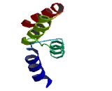 Tetratricopeptide Repeat Domain Protein 39B (TTC39B)
