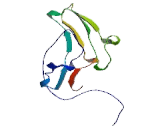 Transition Protein 1 (TNP1)