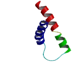 Translocase Of Inner Mitochondrial Membrane 8B (TIMM8B)