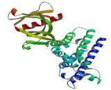 Triple Functional Domain Protein (TRIO)