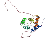 Tubulin Polymerization Promoting Protein (TPPP)